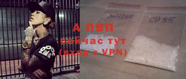 apvp Бородино