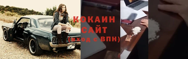 apvp Бородино