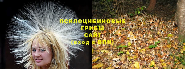 apvp Бородино