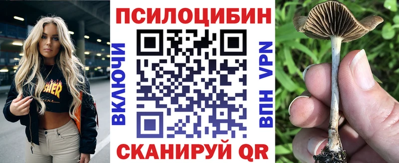даркнет сайт  Кедровый  Галлюциногенные грибы Cubensis 