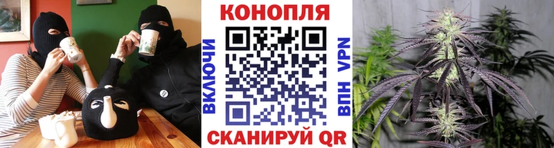 где продают наркотики  Кедровый  Каннабис THC 21% 